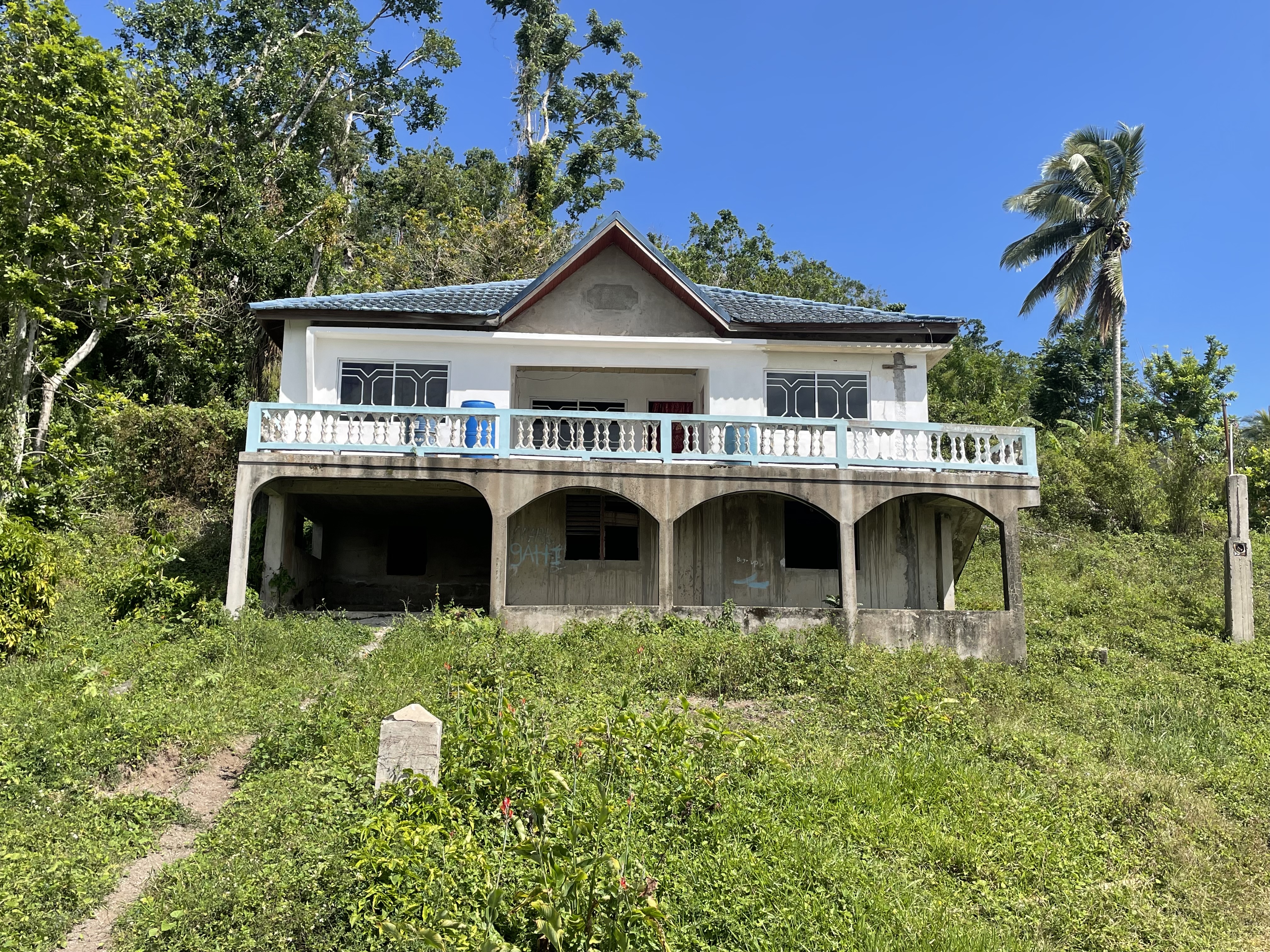 Jamaican hillside with palm trees